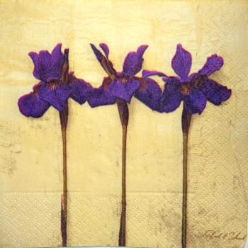 050 Lilies - 3 ply - ppd - Künstler
